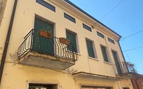 Sunny House